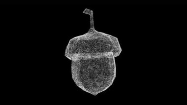 Üç boyutlu meşe palamudu siyah arka planda döner. Ceviz ve meyve kavramı. Vahşi Fındık. İş için reklam arkaplanı. Başlık, metin, sunum için. 3D animasyon 60 FPS