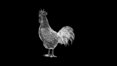 3 boyutlu horoz siyah arka planda döner. Çiftçilik ve Hayvanlar konsepti. İş için reklam arkaplanı. Başlık, metin, sunum için. 3D animasyon 60 FPS
