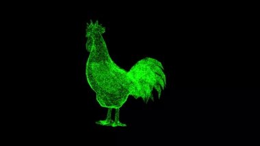 3 boyutlu horoz siyah arka planda döner. Çiftçilik ve Hayvanlar konsepti. İş için reklam arkaplanı. Başlık, metin, sunum için. 3D animasyon 60 FPS