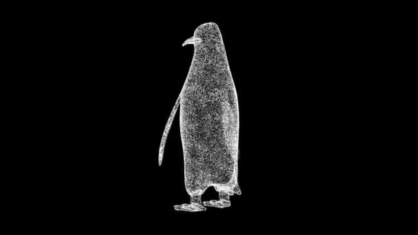 Penguin Rotiert Auf Schwarzem Hintergrund Zoopark Konzept Wilde Tiere Werbekulisse — Stockvideo