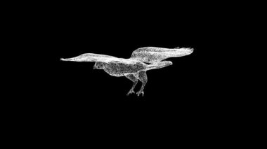 3D Falcon siyah arka planda döner. Yırtıcı kuşlar konsepti. Vahşi kuşlar. İş için reklam arkaplanı. Başlık, metin, sunum için. 3D animasyon 60 FPS