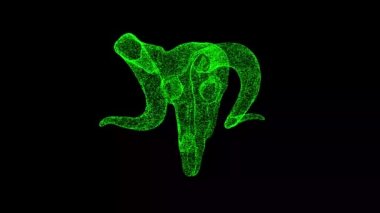 3 boyutlu Ram kafatası siyah arkaplanda döner. Cadılar Bayramı konsepti Boynuzlu hayvan kafatası. İş için reklam arkaplanı. Başlık, metin, sunum için. 3D animasyon 60 FPS