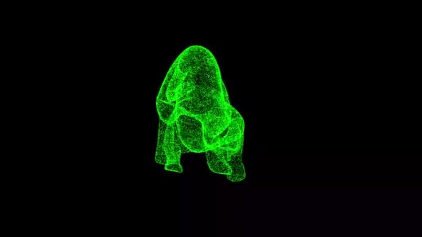 3D豹在黑色背景上旋转 掠夺性动物概念 优雅的掠食者商业广告背景 3D动画60 Fps — 图库视频影像