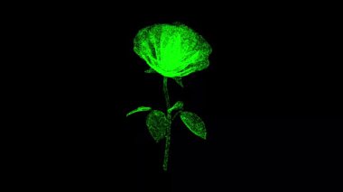 3D Rose siyah arkaplanda dönüyor. Çiçekler ve Bahar konsepti. Düğün Gülü. İş için reklam arkaplanı. Başlık, metin, sunum için. 3D animasyon 60 FPS