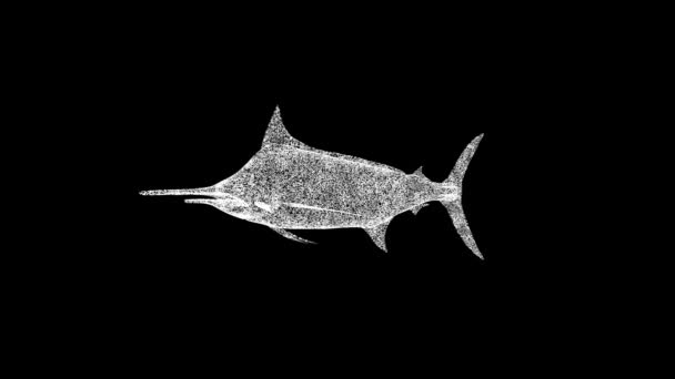 3D锯鱼在黑色背景上旋转 水下生命的概念 海洋水下生物 商业广告背景 3D动画60 Fps — 图库视频影像