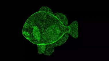 3D Carp siyah arka planda döner. Su altı yaşam konsepti. Nehir altı yaşamı. İş için reklam arkaplanı. Başlık, metin, sunum için. 3D animasyon 60 FPS