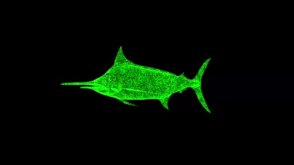 3Dは黒い背景で魚が回転するのを見ました 水中生命コンセプト 海洋水中生命体 ビジネス広告の背景 タイトル テキスト プレゼンテーション 3Dアニメーション Fps — ストック動画