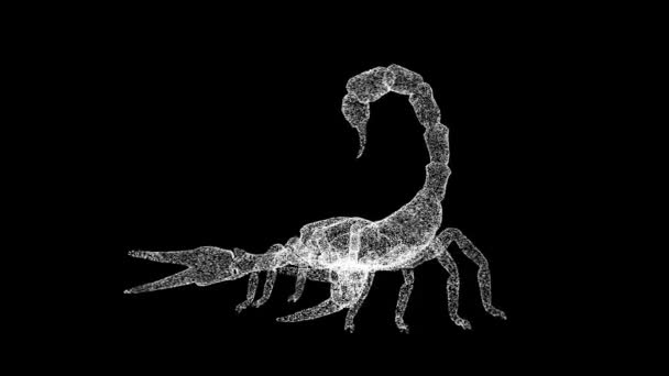 Skorpion Obraca Się Czarnym Tle Koncepcja Niebezpiecznych Zwierząt Trujący Skorpion — Wideo stockowe