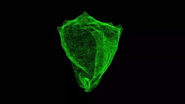 3D deniz kabuğu siyah arkaplanda döner. Deniz konsepti. Denizci dekorasyonu. İş için reklam arkaplanı. Başlık, metin, sunum için. 3D animasyon 60 FPS