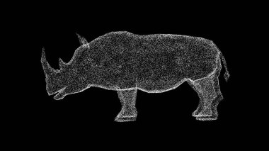 Üç boyutlu gergedan siyah arka planda döner. Safari konsepti. Vahşi yaşam hayvanları. İş için reklam arkaplanı. Başlık, metin, sunum için. 3d canlandırma 