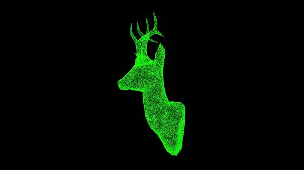 3D Deer head rotates on black background. Hunting and Trophy concept. Forest hunting. Business advertising backdrop. For title, text, presentation. 3d animation