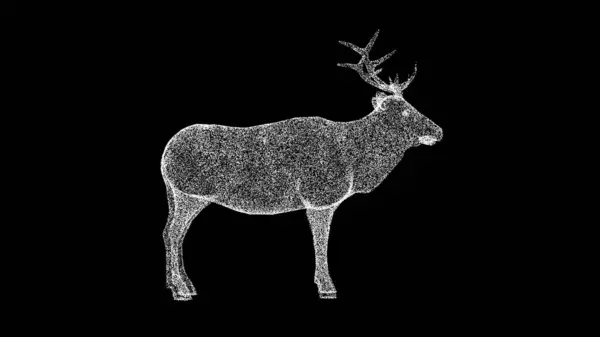 3D Old deer rotates on black background. Zoo Park concept. Wild animals. Business advertising backdrop. For title, text, presentation. 3d animation