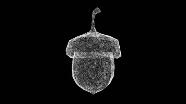 Βελανίδι Περιστρέφεται Μαύρο Φόντο Καρποί Και Φρούτα Έννοια Άγριο Φουντούκι — Φωτογραφία Αρχείου