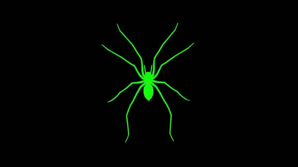 Spider는 검은색 배경에서 회전합니다 곤충과 위험한 비즈니스 텍스트 프레젠테이션 애니메이션 — 스톡 사진