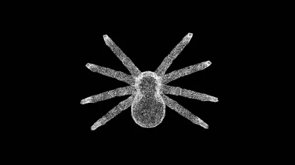 Tarantula Rotuje Černém Pozadí Koncept Hmyzu Přírody Nebezpečný Pavouk Obchodní — Stock fotografie