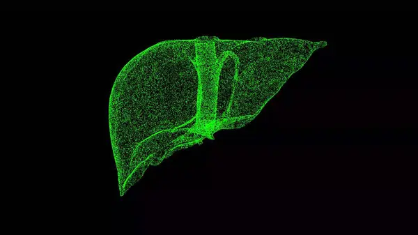 Boyutlu Insan Karaciğeri Siyah Arkaplanda Döner Bilim Tıp Konsepti Organ — Stok fotoğraf