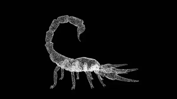Skorpion Obraca Się Czarnym Tle Koncepcja Niebezpiecznych Zwierząt Trujący Skorpion — Zdjęcie stockowe