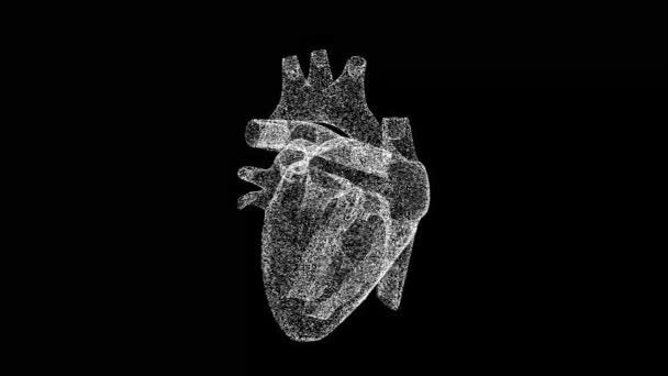 3D半心脏在黑色背景下旋转 医学概念 循环系统 商业广告背景 3D动画60 Fps — 图库视频影像
