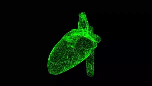 Inima Rotește Fundal Negru Conceptul Medical Sistemul Circulator Contextul Publicității — Videoclip de stoc