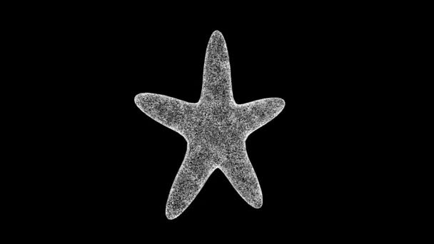 Starfish Обертається Чорному Тлі Концепція Підводного Морського Світу Морська Фауна — стокове відео