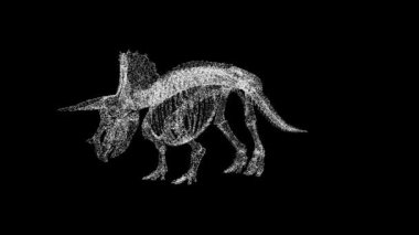 Üç boyutlu dinozor iskeleti siyah arka planda döner. Arkeolojik kavram. Tarih öncesi hayvanlar. İş için reklam arkaplanı. Başlık, metin, sunum için. 3D animasyon 60 FPS