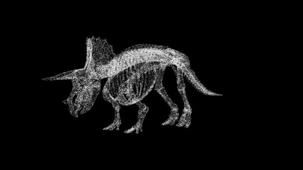 Скелет Динозавра Вращается Черном Фоне Археологическая Концепция Доисторические Животные Предпосылки — стоковое видео