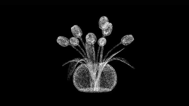 花瓶中的3D郁金香在黑色背景下旋转 春花的概念 花瓣的郁金香 商业广告背景 3D动画60 Fps — 图库视频影像