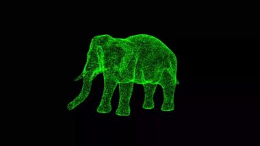 Üç boyutlu bebek fil siyah arka planda döner. Vahşi hayvanlar konsepti. Sirk ve Hayvanat Bahçesi. İş için reklam arkaplanı. Başlık, metin, sunum için. 3D animasyon 60 FPS