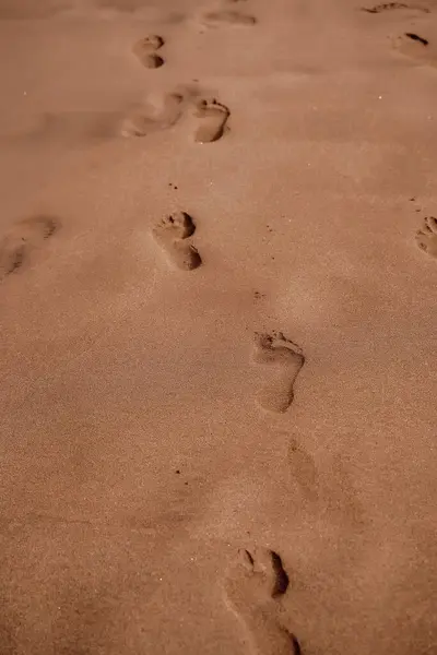 The image captures a trail of footprints in soft, smooth sand, inviting contemplation of a peaceful, solitary walk on the beach. Footprints in Soft Sand Leading Off Into Distance.