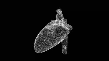 Siyah arka planda 3 boyutlu kalp. Tıbbi konsept. Dolaşım sistemi. İş için reklam arkaplanı. Başlık, metin, sunum için. 3d canlandırma