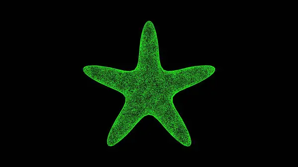 3D Starfish on black background. Underwater Marine World concept. Marine fauna. Business advertising backdrop. For title, text, presentation. 3d animation