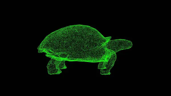 3D Turtle on black background. Underwater Marine World concept. Marine fauna. Business advertising backdrop. For title, text, presentation. 3d animation
