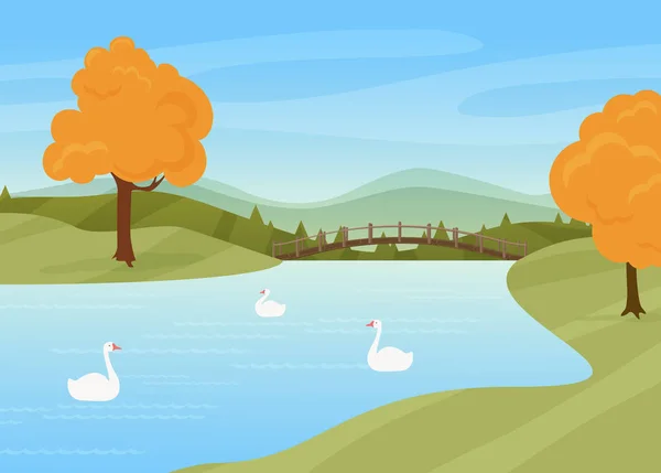 Лебеди Плавают Реке Сельские Осенние Пейзажи Векторные Иллюстрации Мультфильм Дикие — стоковый вектор
