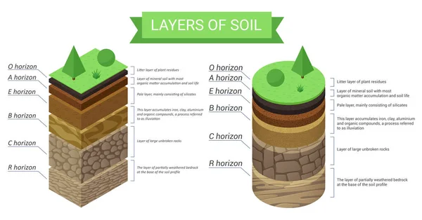 教育等距图和土壤层的详细说明 — 图库矢量图片