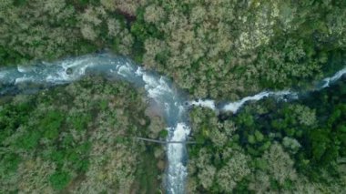 two differents rivers merge into one in the middle of the forest. High quality 4k footage
