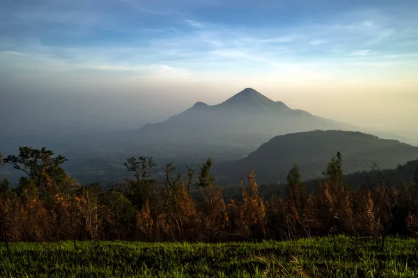 Foggy mountain of Mount Penanggungan in East Java, Indonesia