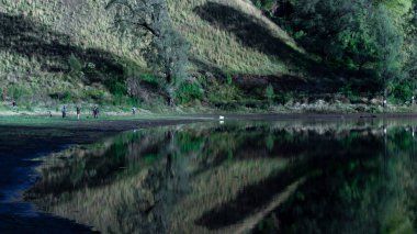 Mountain Lake Site of Ranu Kumbolo in Bromo Tengger Semeru National Park, Indonesia