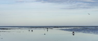Güneş ışığı yansıması ile sakin deniz üzerinde mavi gökyüzünde güzel beyaz bulutlar