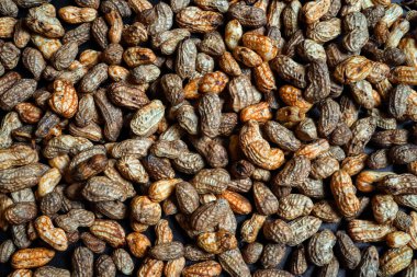 fıstık gıda arka plan