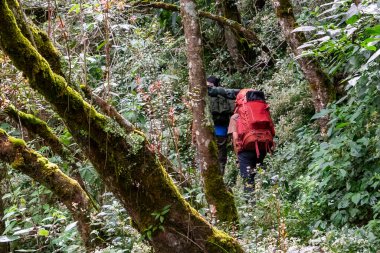 10 Ağustos 2024 'te Semeru Dağı, Malang, Doğu Java, Endonezya' da sırt çantası takibi yapanlar
