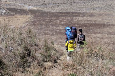 10 Ağustos 2024 'te Semeru Dağı, Malang, Doğu Java, Endonezya' da sırt çantası takibi yapan bir grup insan