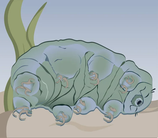 A cute cartoon tardigrade (water bear) squinted and sleeps on the sand near seaweed, an incredible microscopic creature, hardy and tenacious, vector image, illustration, cute children's picture with the ability to use as a sticker or icon, or comics