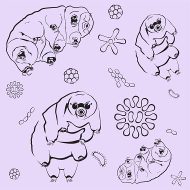 Colored and black border cute cartoon tardigrades (water bears) vector repeat seamless pattern on colored background