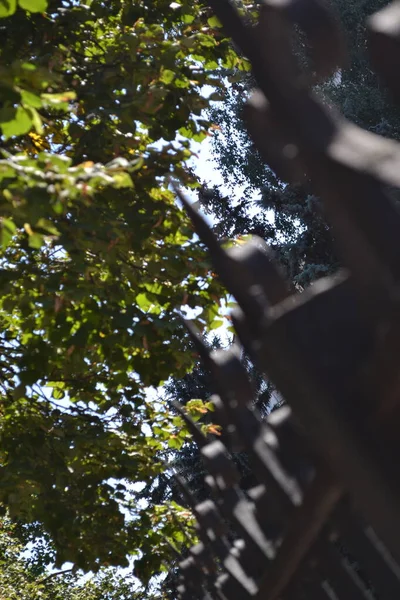 Parkın güzel manzarası.