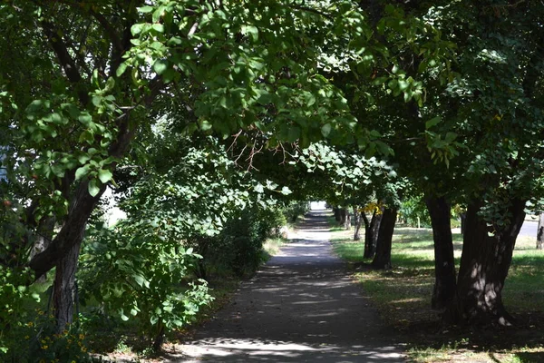 Parkın güzel manzarası.