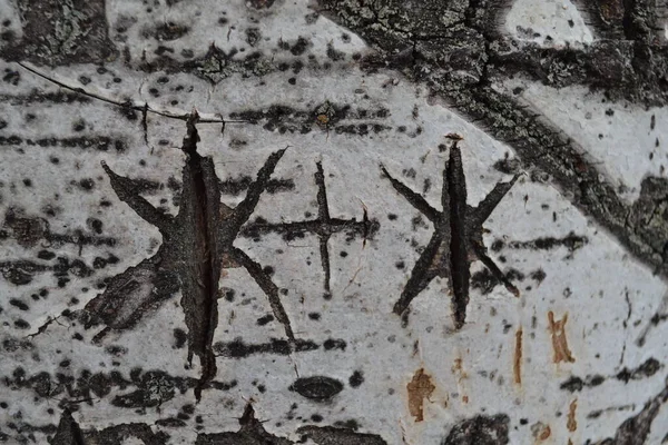 Eski ahşap doku arkaplanı