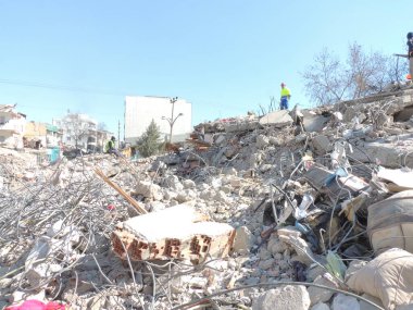 work of the canine rescue team in the earthquake in Turkey