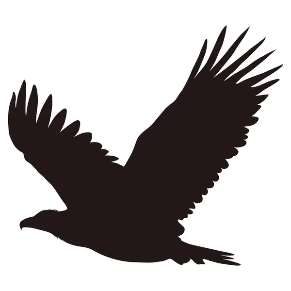 Kanatları açık uçan bir şahinin silueti.