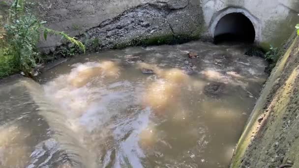 Sistema Alcantarillado Ciudad Que Fluye Río Problemas Ecología Entorno Urbano — Vídeos de Stock