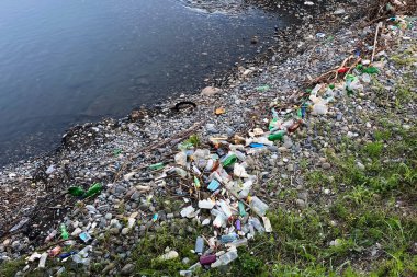 Gölün kıyısındaki plastik şişelerden büyük bir çöp yığını. Ekoloji ve atık imhası sorunları.